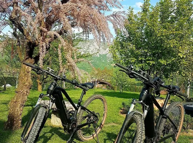 Wine Cellar Випава