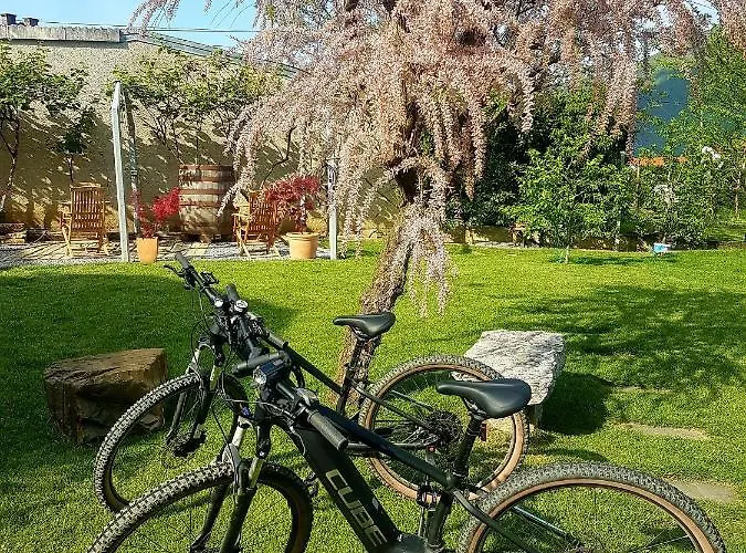 Wine Cellar Affittacamere